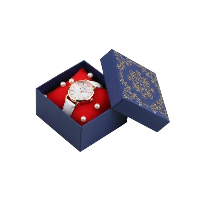 MC-17 Boîte à fermeture magnétique pour montre