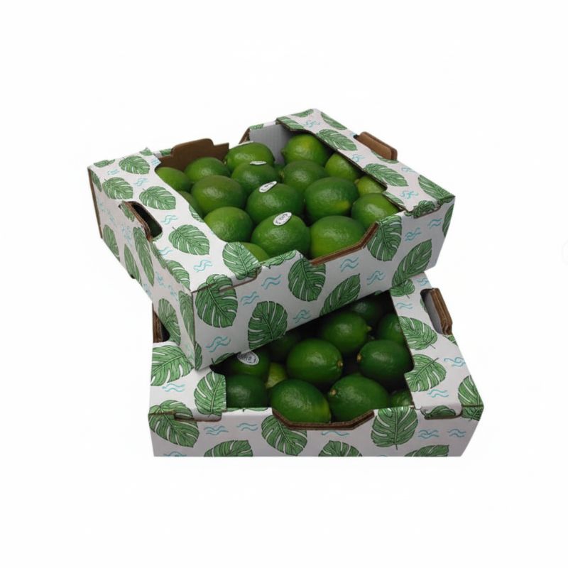RB-218 Boîte Rigide Fruits