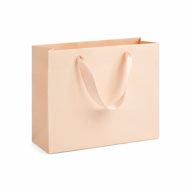 Sac en papier cadeau pour écharpe